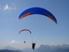 Profeel Parapente